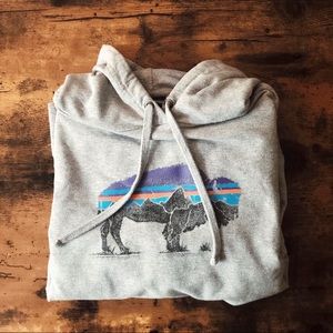 Patagonia Fitz Roy bison print hoodie